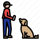 dog, training, school, sit, command, pet, obedience