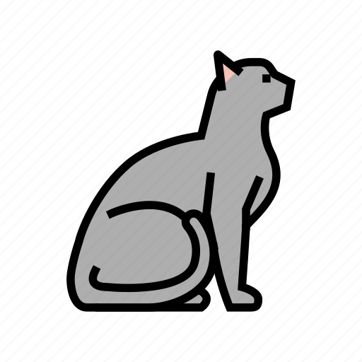Cat, pet, pets, domestic, animal, dog icon - Download on Iconfinder