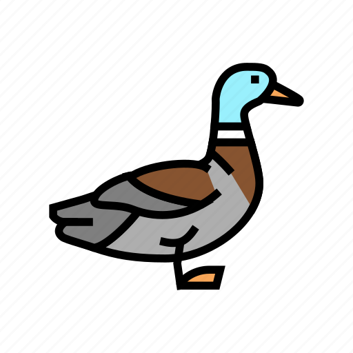 Duck, bird, pets, domestic, animal, dog icon - Download on Iconfinder