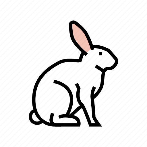 Rabbit, pet, pets, domestic, animal, dog icon - Download on Iconfinder
