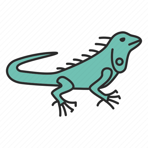 Animal, herbivorous, iguana, lizard, pet, reptile, wildlife icon - Download on Iconfinder