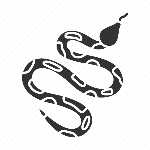 Animal, pet, python, reptile, reptilian, serpent, snake icon - Download on Iconfinder