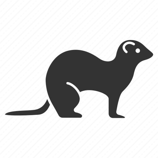 Animal, ferret, mustela, pet, polecat, stoat, weasel icon - Download on Iconfinder