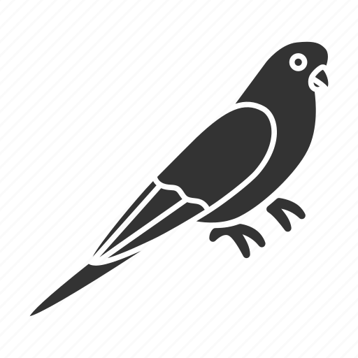 Animal, bird, budgerigar, budgie, ornithology, parrot, pet icon - Download on Iconfinder