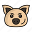 pig, piglet, wildlife animal, wildlife mammal, genus sus, philippines 