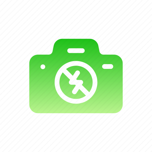 No, flash, off, camera, mode, photograph icon - Download on Iconfinder