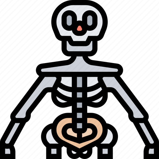 Skeleton, bone, human, xray, diagnosis icon - Download on Iconfinder