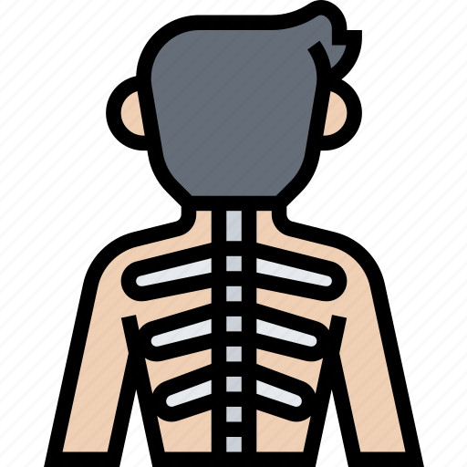 Spinal, column, backbone, body, health icon - Download on Iconfinder