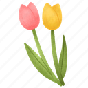 tulip flowers, wildflower, blossom, floral, botanical, nature, plant, spring, seasonal