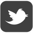 twitter, social media, tweet, follower, connect, social, follow, bird