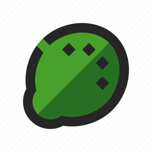 Berry, cooking, food, fruit, funky, juicy, lime icon - Download on Iconfinder