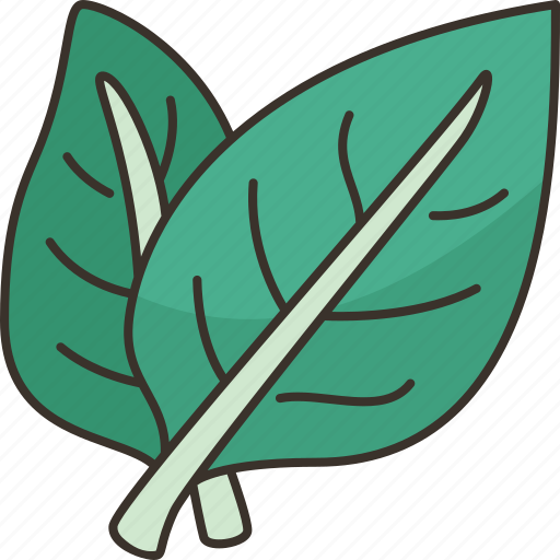 Basil, vegetable, herb, fresh, topping icon - Download on Iconfinder