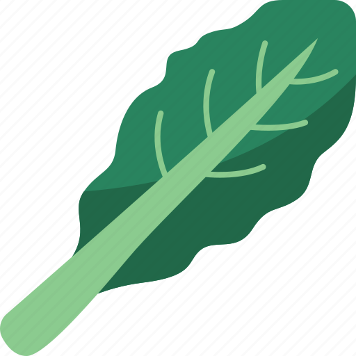 Kale, leaf, vegetable, herb, nutrition icon - Download on Iconfinder