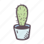 cactus, flower, potted 