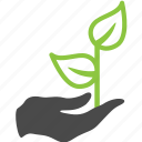 hand, plant, finger, nature 