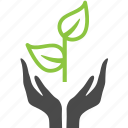 hand, plant, ecology, finger, nature 