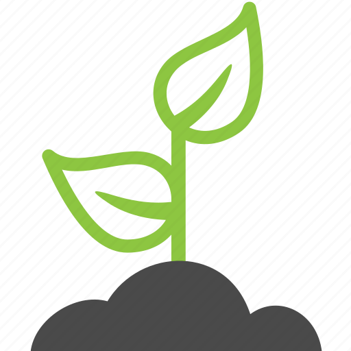 Plant, ecology, green, nature icon - Download on Iconfinder