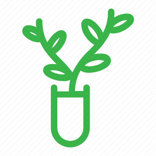 Plant, leaf, green, nature icon - Download on Iconfinder