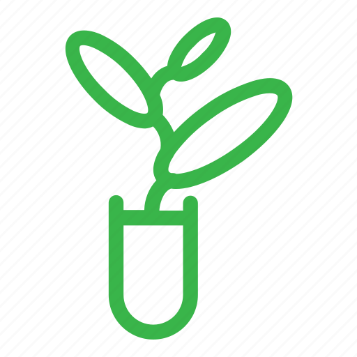 Plant, leaf, nature, green icon - Download on Iconfinder