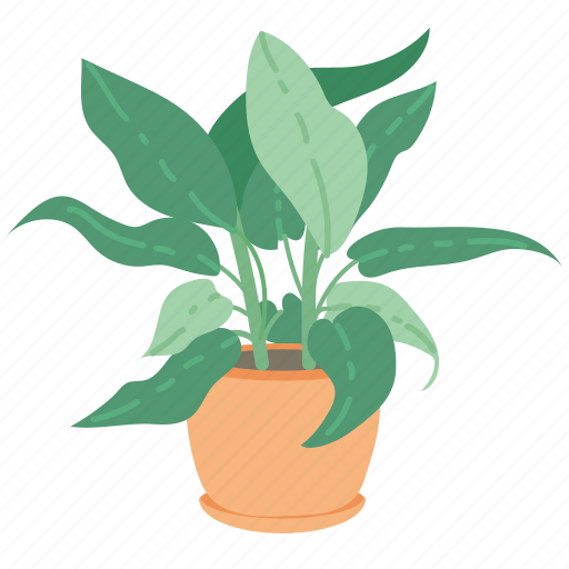 Green, indoor plants, flower, plant, nature, leaf icon - Download on Iconfinder