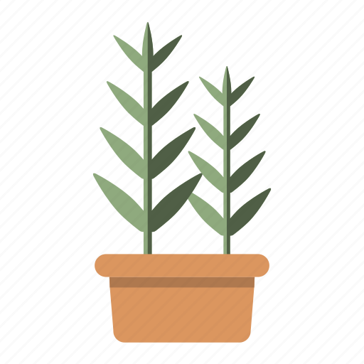 Ecology, garden, green, herb, leaf, nature, plant icon - Download on Iconfinder