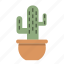 cacti, cactus, decorate, furniture, nature, office, potted 