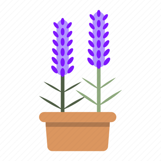 Blossom, ecology, garden, herb, lavender, nature, potted icon - Download on Iconfinder