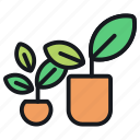 plant, pot, indoor, nature, agriculture, gardening, farming, pots