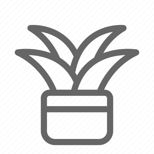 Aloe, leaf, nature, plant, spring, tree icon - Download on Iconfinder