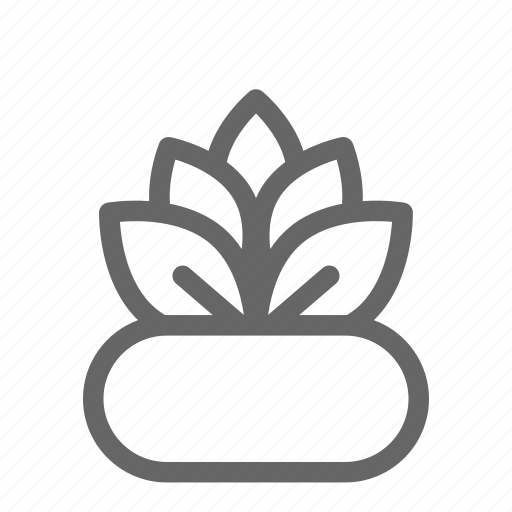 Ecology, floral, flower, garden, leaf, plant, spa icon - Download on Iconfinder
