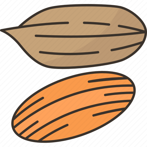 Pecans, walnuts, kernel, snack, diet icon - Download on Iconfinder