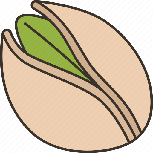 Pistachios, nut, seed, snack, nutrition icon - Download on Iconfinder