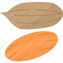pecans, walnuts, kernel, snack, diet