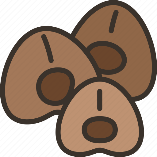 Buckwheat, cereal, grain, cooking, protein icon - Download on Iconfinder