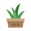 plant in pot, green, leaf, leaves, flower, garden, nature, plant 