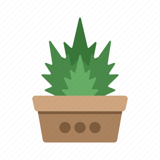 Plant in pot, green, leaf, leaves, flower, garden, nature icon - Download on Iconfinder