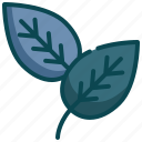 leaf, plant, sprout, tree, environment