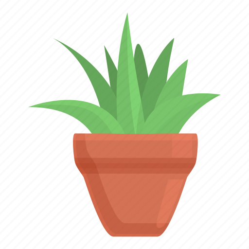 Succulent, plant, pot icon - Download on Iconfinder