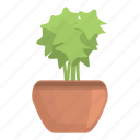 sprout, plant, pot, nature