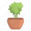 sprout, plant, pot, nature 