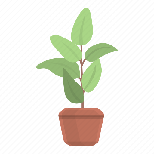 Ficus, plant, pot, green icon - Download on Iconfinder