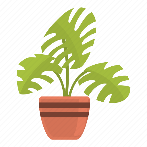 Monstera, plant, pot, indoor icon - Download on Iconfinder