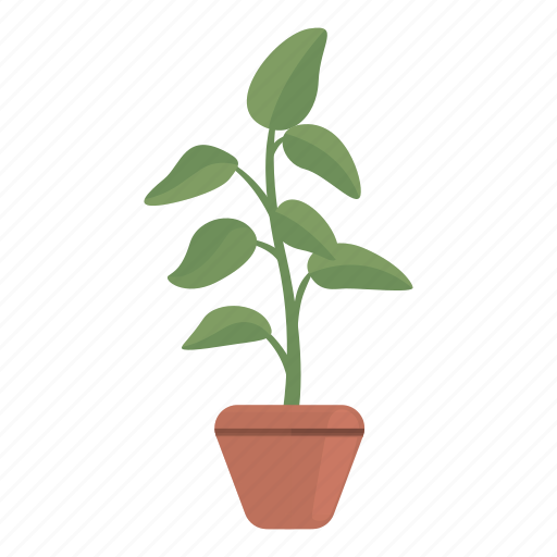 Botany, plant, pot icon - Download on Iconfinder