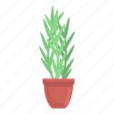 leaf, plant, pot