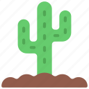 cactus, in, ground, gardening, cacti