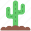 cactus, in, ground, gardening, cacti 