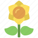 daffodil, gardening, plant, flower, bloom