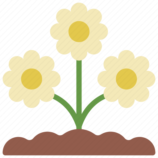 Daisys, in, ground, gardening, flower icon - Download on Iconfinder