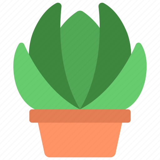 Echeveria, gardening, potted, pot, plant icon - Download on Iconfinder