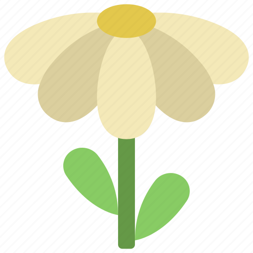 Flat, daisy, gardening, flower, floret icon - Download on Iconfinder